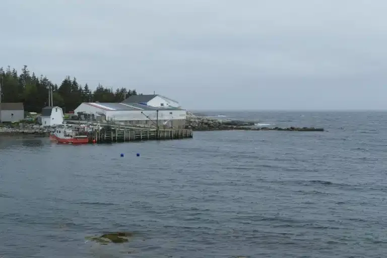 King Neptune Campground